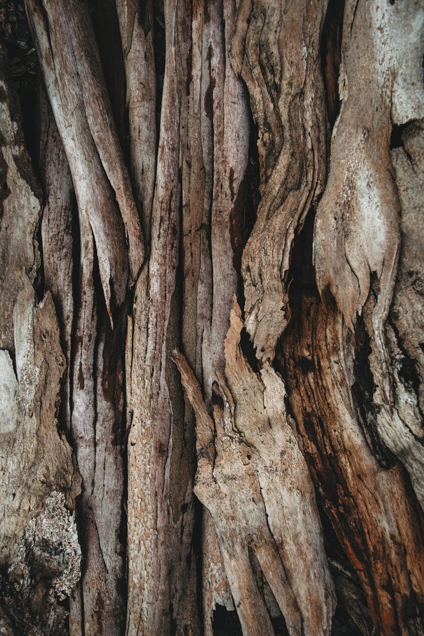 Background texture pattern